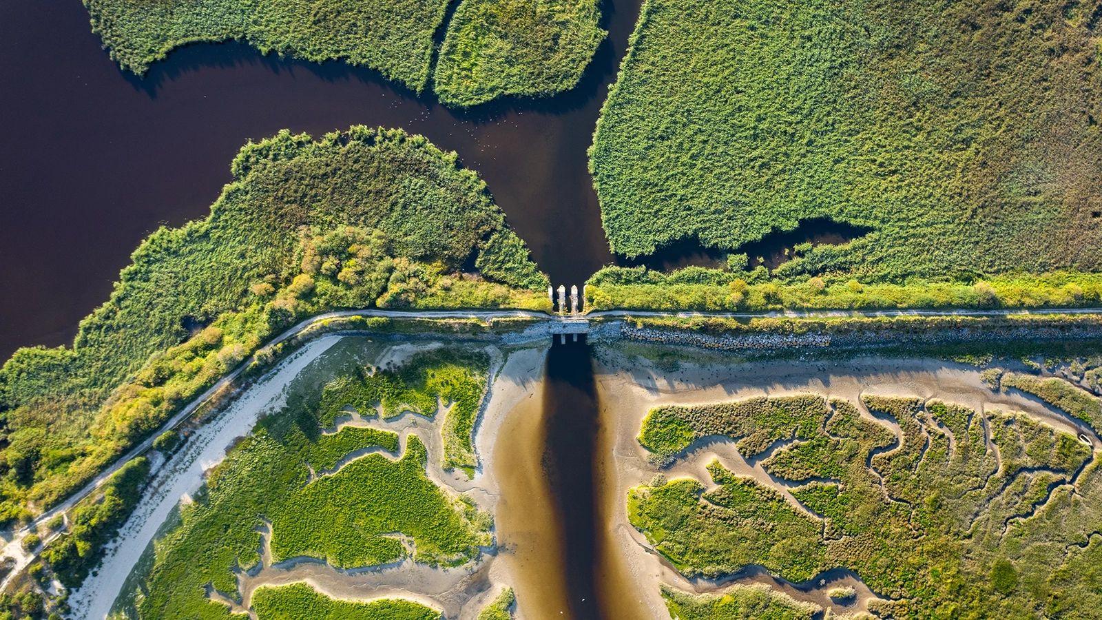 Msci Pcr Report Example Climate Solutions | MSCI