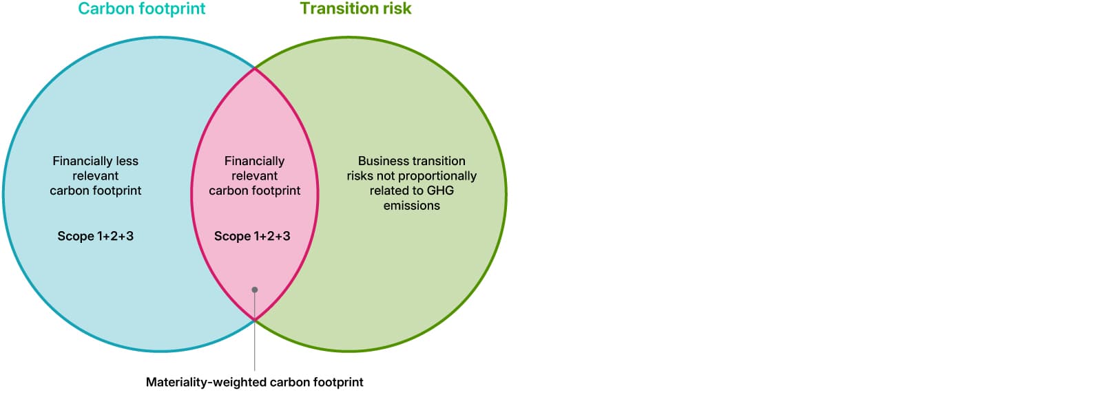 Venn diagram comparing carbon footprint and transition risk. The left circle represents "Carbon footprint" (Scope 1, 2, 3), with a section labeled "Financially less relevant carbon footprint." The right circle represents "Transition risk," showing "Business transition risks not proportionally related to GHG emissions." The overlapping middle area is "Financially relevant carbon footprint" under Scope 1, 2, 3. The diagram highlights the partial overlap between emissions data and financial relevance for transition risks.