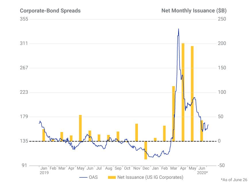 Amazon.com: Investment under Uncertainty: 9780691034102