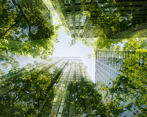 Carbon-Footprint Attribution for Total Portfolio