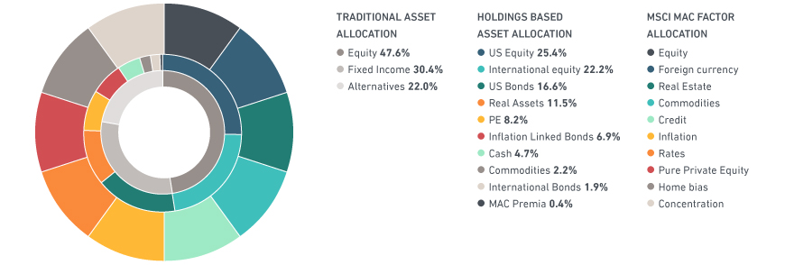 MULTI-ASSET CLASS PORTFOLIO pie chart