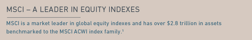 what is the difference between msci world index and msci acwi