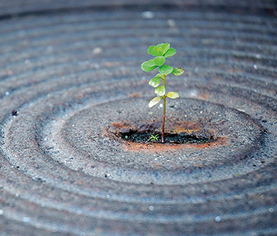 Growth’s recent outperformance was and wasn’t an anomaly