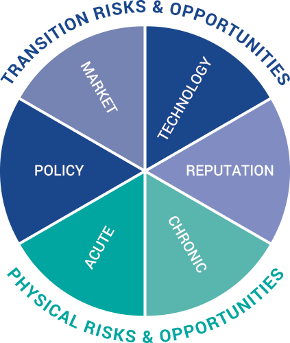 Reasearch Driven Insights