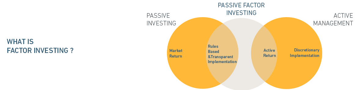 factor based investing msci china