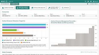 ESG Analytics Tool