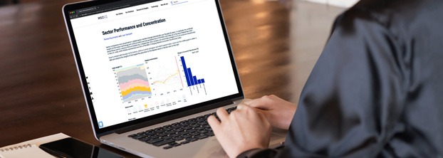 Sector Performance and Concentration