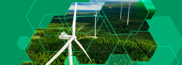 Net-Zero Alignment: Objectives and Strategic Approaches for Investors