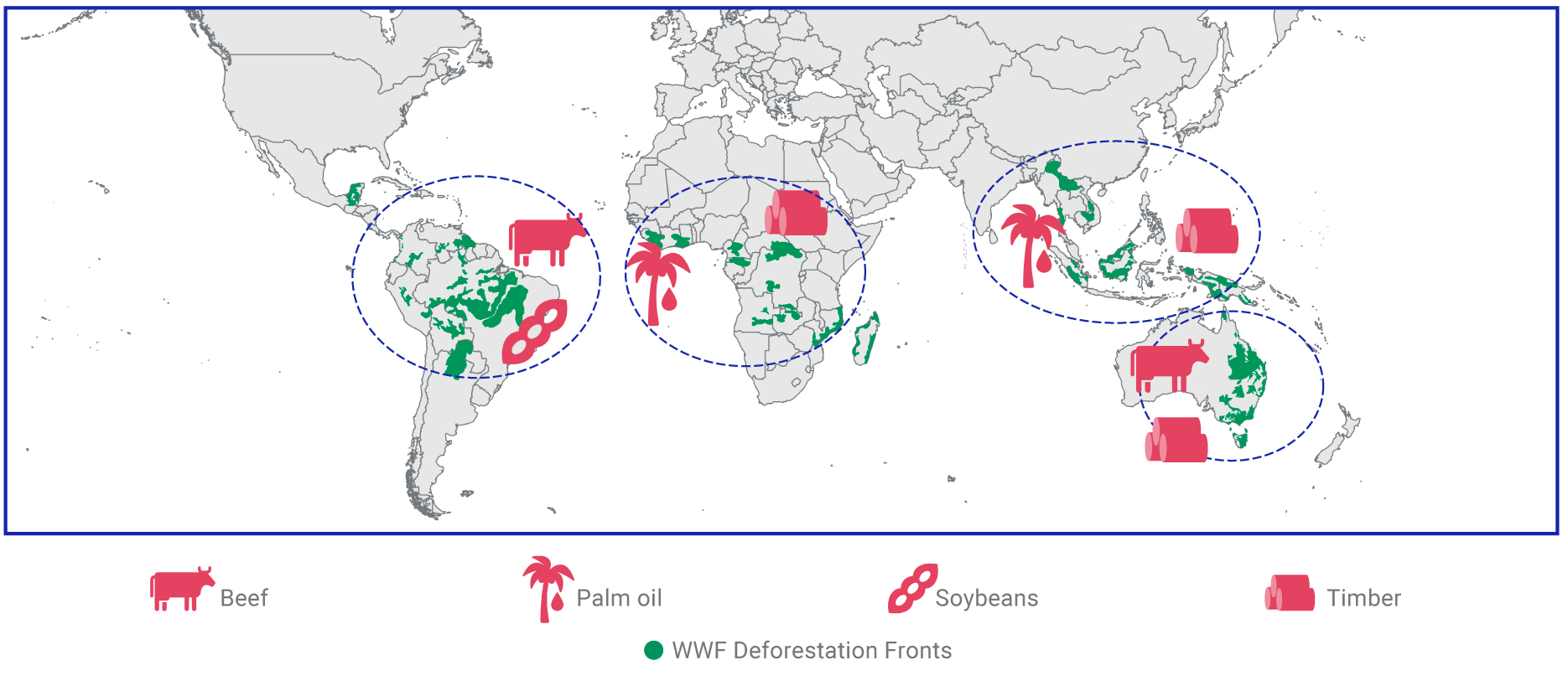 Deforestation Risks on the Rise MSCI