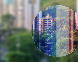 Banner image