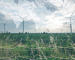 Which Sustainability Issues Mattered Most?