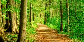 The positive impact of ESG investing on bond performance The positive impact of ESG investing on bond performance