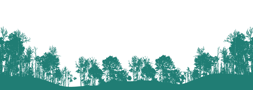 Image-empty-state.png