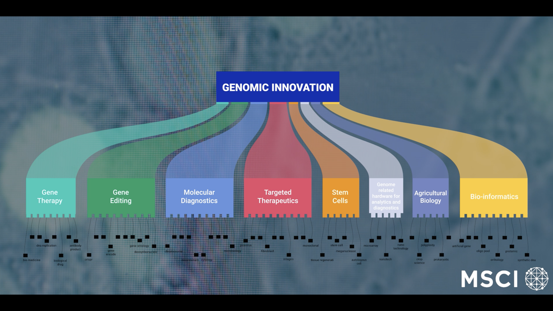 Thematic Indexes | MSCI Indexes